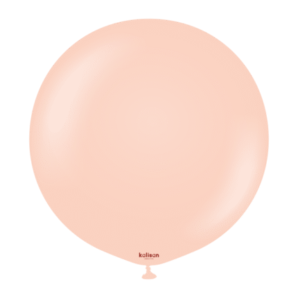 Macaron Salmon
